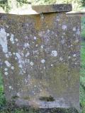 image of grave number 542354